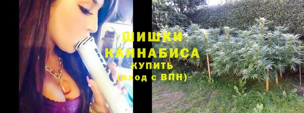 трава Баксан